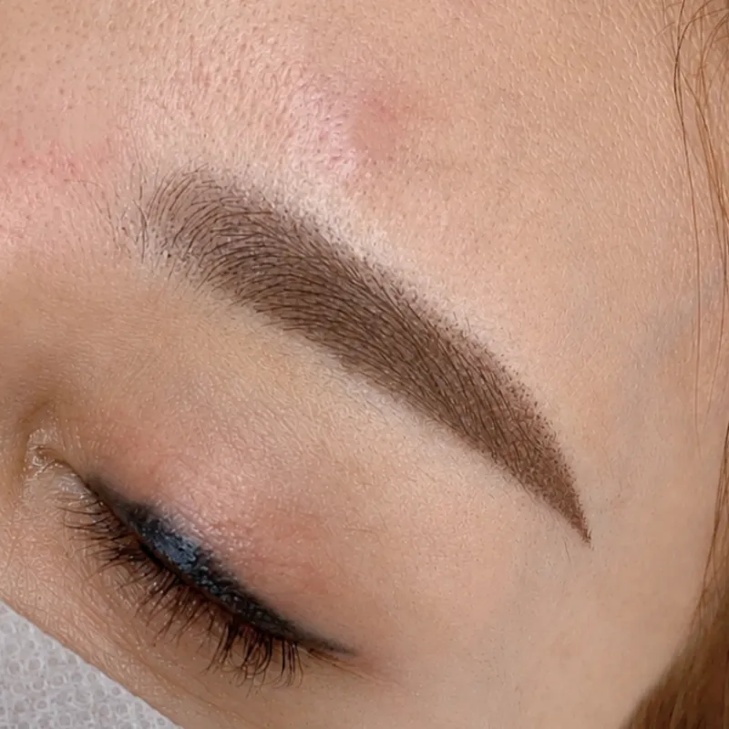 Ombre powder brows result by Natural Brows