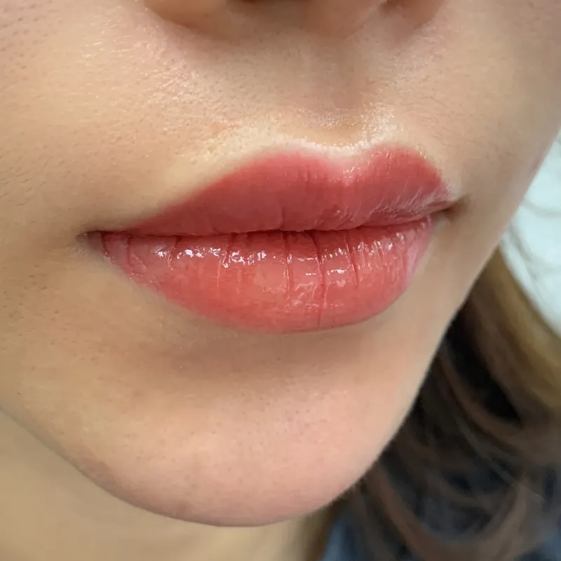 Lip blush result by Natural Brows
